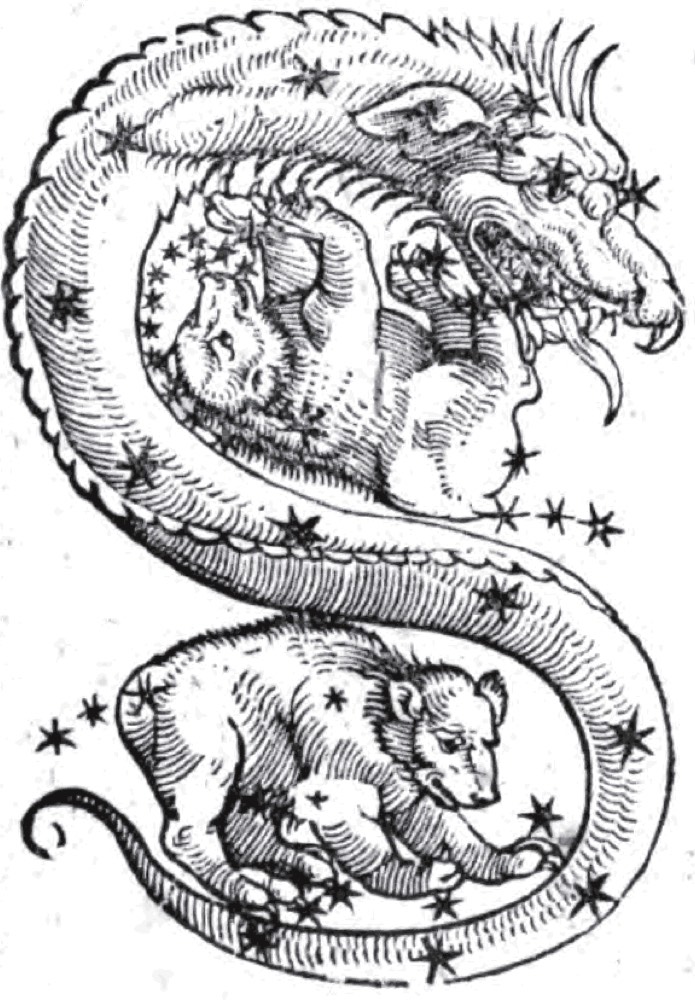 Ein Holzschnitt des Himmelsdrachen Draco, der sich zwischen dem Großen Bären und dem Kleinen Bären durch die Sterne windet.