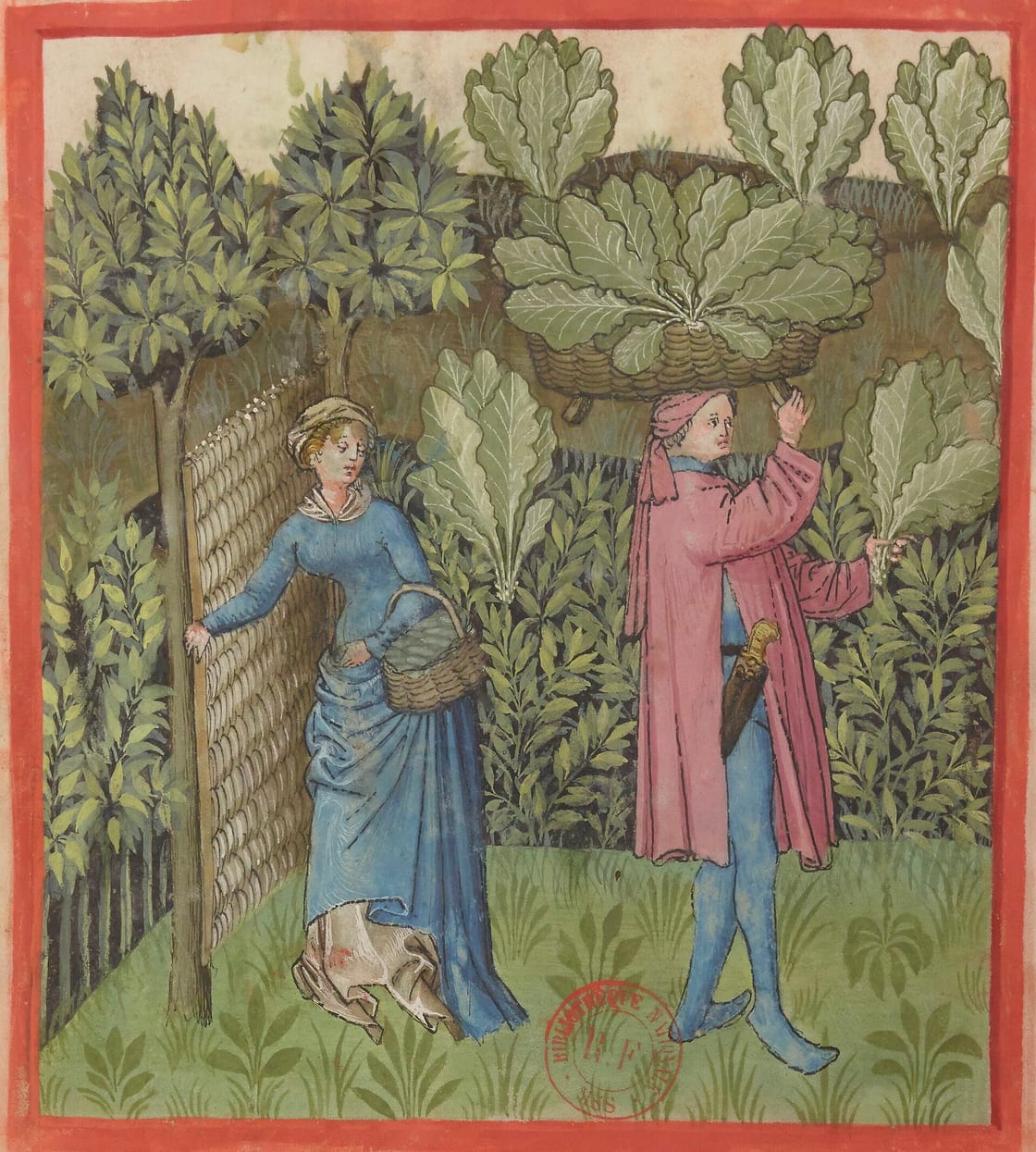 Uma miniatura do Tacuinum Sanitatis: duas figuras colhem verduras e couves em um jardim, uma delas carregando um cesto cheio sobre a cabeça.