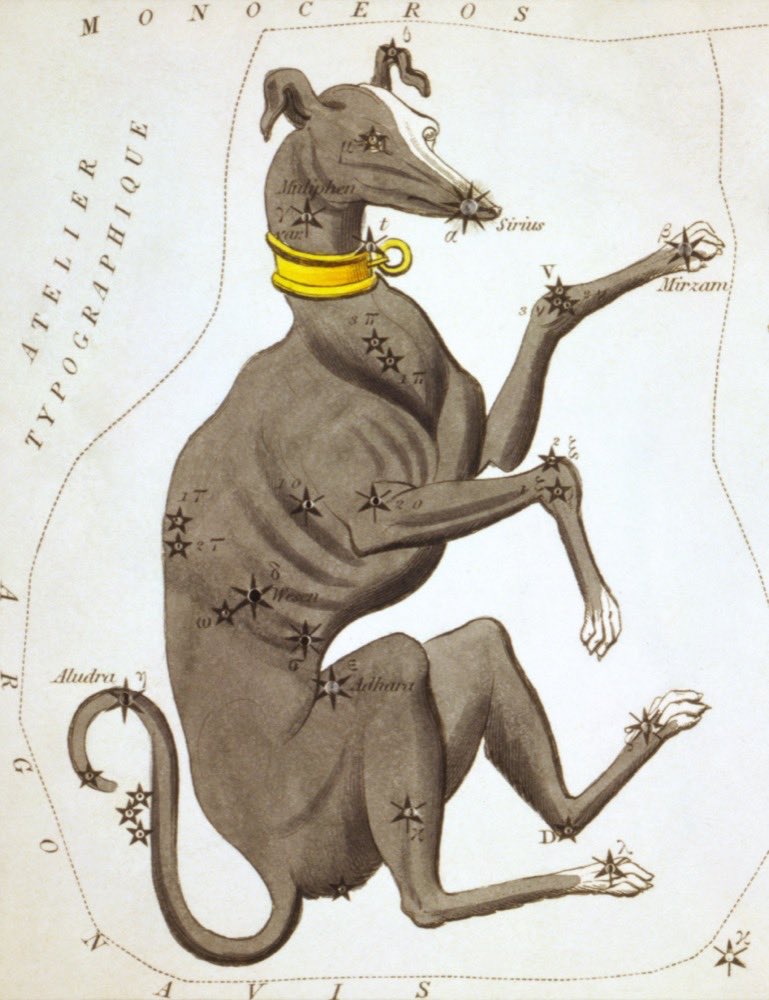 A constelação de Cão Maior em uma carta celeste de 1824 do Urania's Mirror; Sirius, a Estrela do Cão, a estrela mais brilhante do céu noturno, brilha em seu peito.