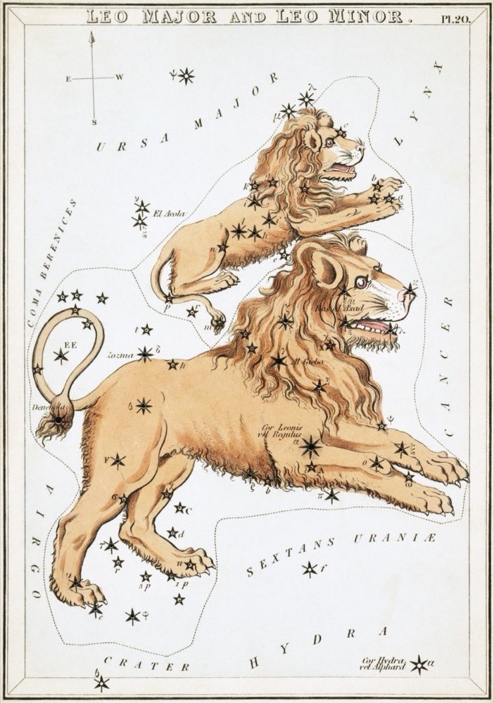 The constellation Leo on an 1824 star card from Urania's Mirror; Regulus, the royal star, marks the lion's heart.