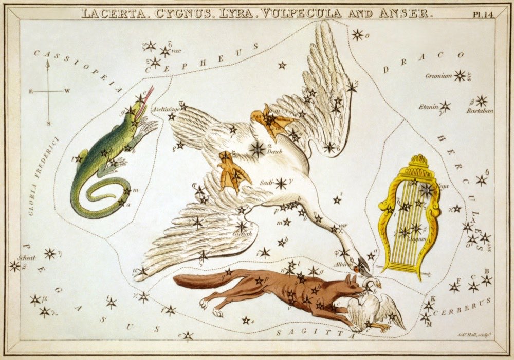The constellation Lyra on an 1824 star card from Urania's Mirror; Vega, one of the brightest stars in the sky, marks the lyre.