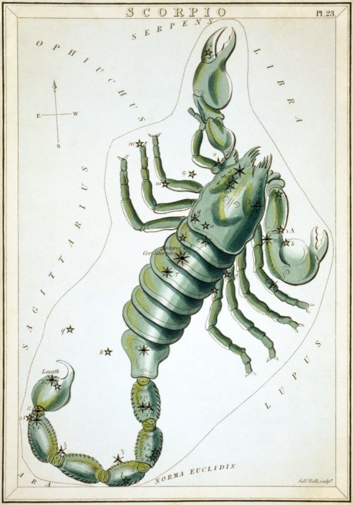 A constelação de Escorpião numa carta celeste de 1824 do Urania's Mirror; Antares, a guardiã do oeste, arde em vermelho no coração do escorpião.